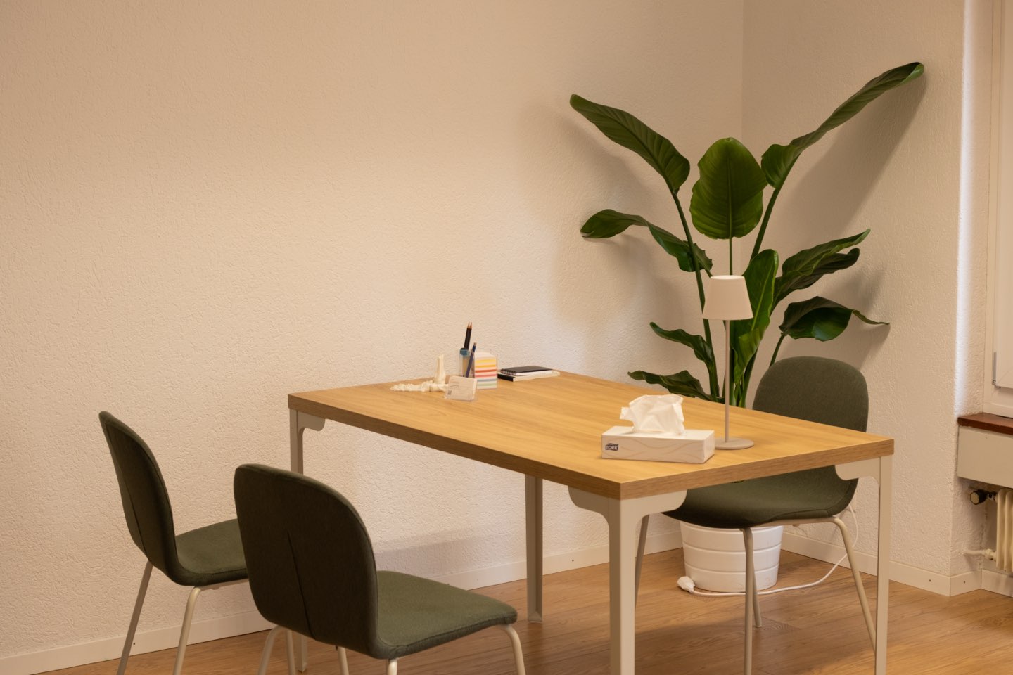 Une salle de consultation avec sa table, ses chaises et une grande plante
