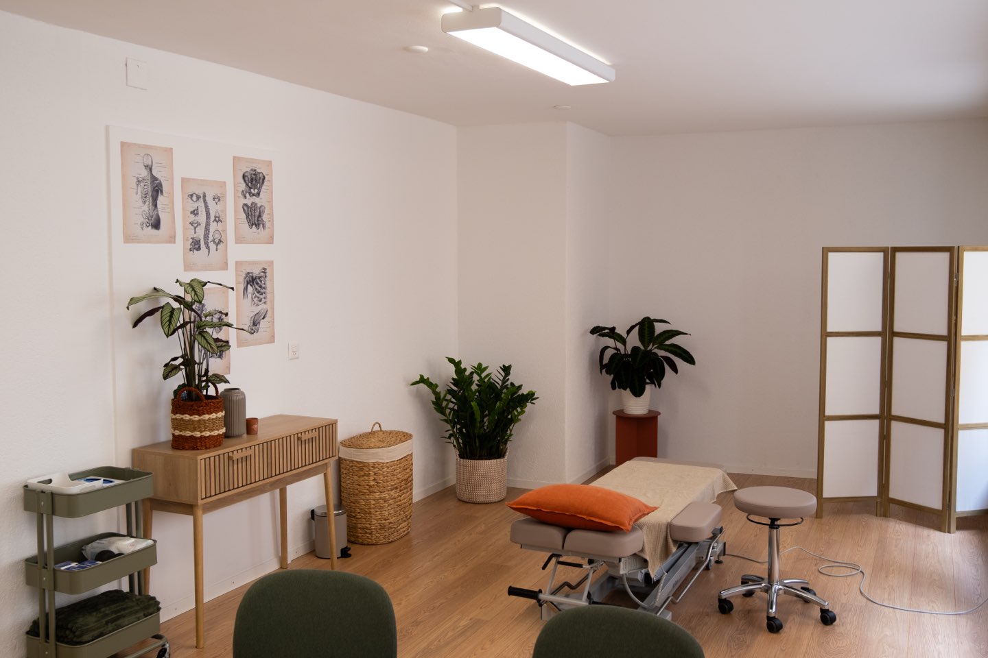 Une salle de soin avec table de traitement, plantes et paravent
